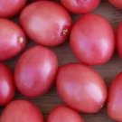 New Fresh 50 Seeds Cherry Pink Tomato Juicy Vegetable Garden