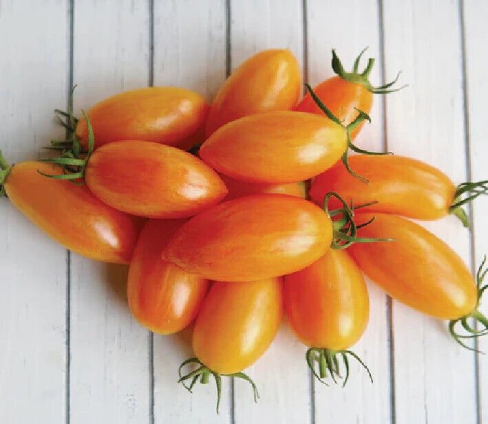 New Fresh 50 Seeds Blush Grape Tomato Juicy Vegetable Garden
