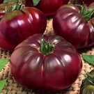 New Fresh 50 Seeds Black Prince Tomato Juicy Vegetable Garden