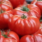 New Fresh 50 Seeds Big Red Tomato Juicy Vegetable Garden