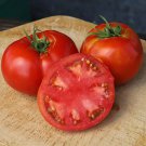 New Fresh 50 Seeds Big Beef Tomato Juicy Vegetable Garden