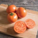 New Fresh 50 Seeds Bhn 871 Tomato Juicy Vegetable Garden