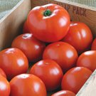 New Fresh 50 Seeds Bhn 1021 Tomato Juicy Vegetable Garden