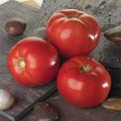New Fresh 50 Seeds Bella Rosa Tomato Juicy Vegetable Garden