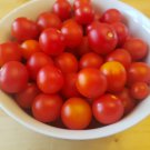 New Fresh 50 Seeds Bajaja Tomato Juicy Vegetable Garden