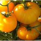 New Fresh 50 Seeds Azoychka Tomato Juicy Vegetable Garden