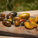 New Fresh 50 Seeds Atomic Grape Tomato Juicy Vegetable Garden