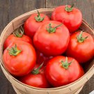 New Fresh 50 Seeds Arbason Tomato Tasty Juicy Vegetable Garden