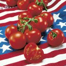 New Fresh 50 Seeds 4Th Of July Tomato Juicy Vegetable Garden