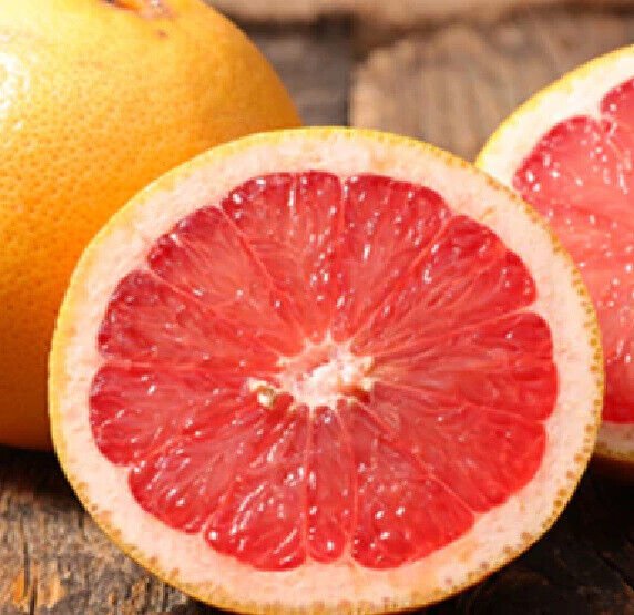 New Fresh 5 Seeds Ruby Red Grapefruit Citrus Tree Fast Growing Juicy Fruit