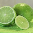 New Fresh 5 Seeds Lime Citrus Fruit Garden Plant Tree