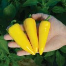 New Fresh 25 Seeds Yellow Sugar Pepper Sweet Garden Fresh Vegetables Planting