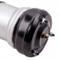Front Air Suspension Shock Strut for Mercedes S430 S500 S600 w/Airmatic 00-06
