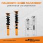 Pair Front Coilovers Suspension Lowering Kit For BMW X5 2000-2006