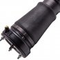 Front left Air Suspension Air Strut New For BMW X5 E53 2000-2006 37116757501