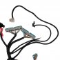 Stand alone Wiring Harness for LS LS3 Vortec 4L80E 4.8 5.3 6.0 DBW 2003-2007