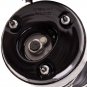 2x Front Complete Struts Shock Absorber For Mercedes S Class 4Matic 2213200538