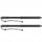 2pcs Rear LH & RH Trunk Power Lift Support Shocks for Hyundai Santa Fe 2013-2016