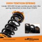 Coilovers Shock Suspension Spring Kits For Lexus IS300 2001-2005 Adj. Height