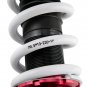 Coilover Suspension Lowering Kit For Honda Accord 1998-2002 Adj. Damper Shocks