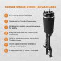 2x Front Air Suspension Shock Absorber for Mercedes W251 V251 W/ADS 2513203013