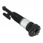 2Pcs Rear Air Suspension Shock Strut 37106874593 Fit BMW 740i 750i 750Li G11 G12