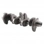 Engine Crankshaft w/ Connecting Rods Bearing US For BMW N20 320i 328i 528i 2.0L