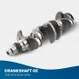 G4NB 1.8L Engine Crankshaft & Rods & Bearings Set For Hyundai Elantra Forte KIA