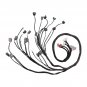 OBD2 D & B-series Tucked Engine Wire Harness For 92-00 Civic Integra B16 B18 D16