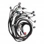 OBD2 D & B-series Tucked Engine Wire Harness For 92-00 Civic Integra B16 B18 D16