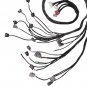 OBD2 D & B-series Tucked Engine Wire Harness For 92-00 Civic Integra B16 B18 D16