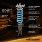MaXpeedingrods 24 Step Coilovers Lowering Suspension Kit for Honda Odyssey 99-04
