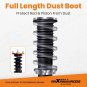 24 Step Damper Coilover Suspension Kit FOR Honda Accord 90-97 Acura CL 97-99