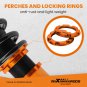 MaXpeedingrods Coilovers 24 Way Damper ADJUSTABLE Fit Acura RSX 2-Door 2002-2006