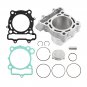 Cylinder Piston Rings Top End Gaskets Kit for Kawasaki KX250F 04-08 RMZ250 04-06