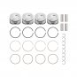 4x 2.0T Pistons & Rings Kit For Chevrolet Buick GL8 ES Cadillac ATS XT5 12652809