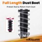 Adjustable Coilover Suspension Lowering Kit For Mercedes W204 C250 C300 08-14