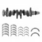 Crankshaft + Main & Rod Bearing Kit for Hyundai Tucson Kia Soul 2.0L 623V6-2EH00