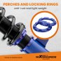 Coilovers Suspension Shock Lowering Kit for LEXUS ES300 Avalon 95-03 Camry 92-01