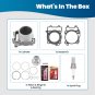 Top End Kit Cylinder Piston 93mm Gasket Kit For 2017-2022 Polaris Ranger 500