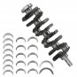 Crankshaft Connecting Rod Bearing Kit for Hyundai Sonata Santa Fe Tucson 2.4L