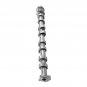 1PC Exhaust Camshaft for Hyunda Exhaust Elantra Kona Kia Forte 2.0L 24200-2E074
