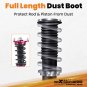 MaXpeedingrods Coilovers Suspension Lowering Kit For Honda Accord 18-22 (CV)