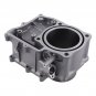 Cylinder Piston Kit for Honda Foreman Rubicon 500 TRX500FA 12100-HN2-000
