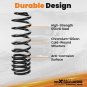 2"  Rear Heavy Duty Coil Spring for Dodge Ram 1500 2WD/4WD 2009-2018 Lift Kit