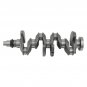 G4NA 2.0L Engine Crankshaft & ConRods & Bearings For Hyundai Elantra Kia Forte