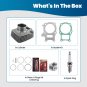Cylinder Jug Piston Top End Kit For Honda TRX250EX 250X Recon 250 72mm Big Bore