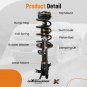 Front Struts w/Coil Spring for Honda Civic 2012 LX/BASE/DX/EX/EX-L/GX/HF/HYB