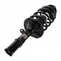 Front Suspension Strut Spring For Toyota Matrix Pontiac Vibe 03-08 AWD WAGON