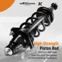 Rear Struts w/ Coil Spring Assembly for 2001 2002-2005 Honda Civic Si/LX/EX/DX